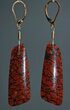 Stunning, Red Dinosaur Gembone Earrings - Gold Findings #22528-2